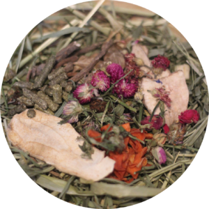 Náročné morčátko