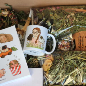 Dárková krabička s Anubis merchem