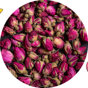 Růže poupě – celé