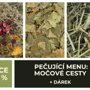 PEČUJÍCÍ MENU: Močové cesty