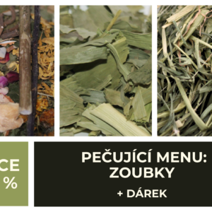 PEČUJÍCÍ MENU: Zoubky