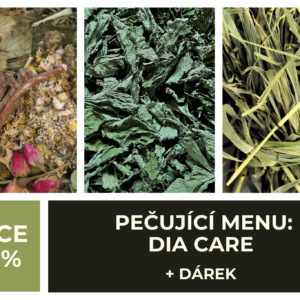 PEČUJÍCÍ MENU: Dia care