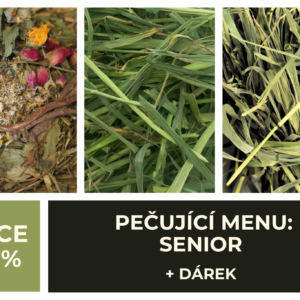 PEČUJÍCÍ MENU: Senior