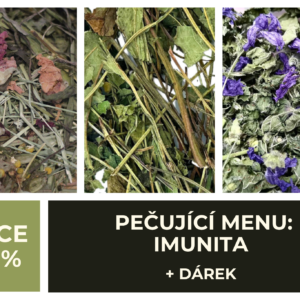 PEČUJÍCÍ MENU: vital care