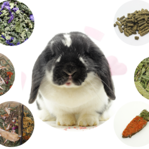 Degustační výběr Anubis Králík