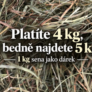 1. seč 2026 - luční