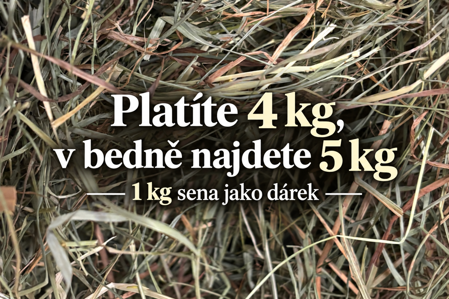 1. seč 2026 - luční