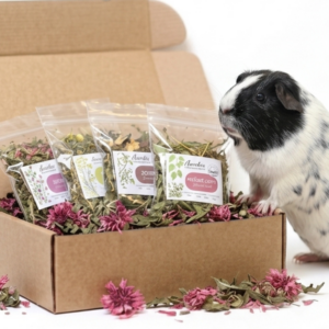 Bylinko box